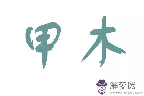 八字身弱甲木女命理分析