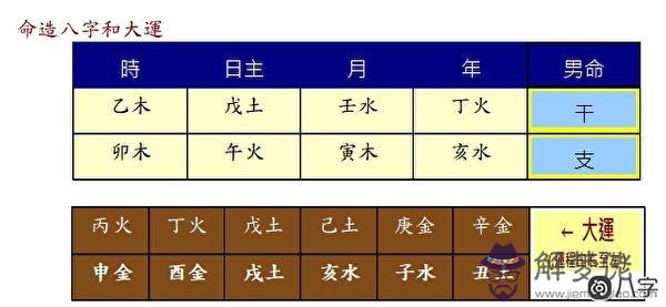 測你的事業奮斗方向在哪？適合走發財路還是當官路？