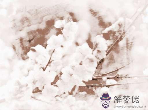 八字算命 破解你的桃花運