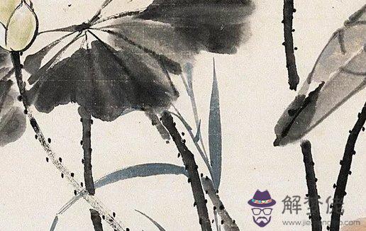 癸亥年是哪年,五行缺什麼,這年出生命好嗎