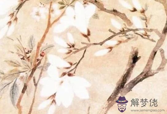 2020年農歷九月出生的鼠寶寶，飛黃騰達之命，功成名就