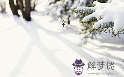 020鼠年大雪節氣后一天十月二十四日適合求嗣嗎？"