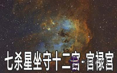 巨門星坐守十二宮：官祿宮詳解