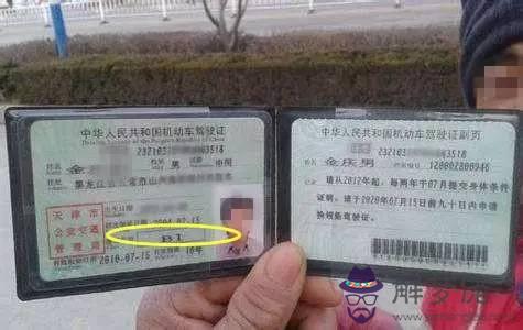 今天教練生日，剛剛拿到駕照不久，想發個紅包給他，發多少合適？