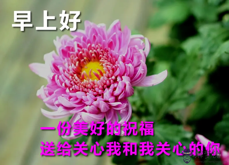 生日祝福的話語句句暖人心：朋友生日祝福的話語,句句暖人心