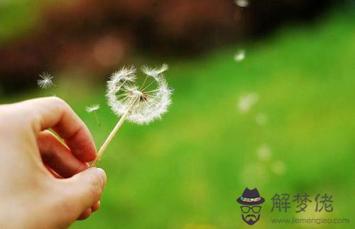 說生兩個女兒的原因：經解釋人生孩子是怎麼回事