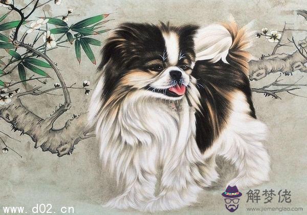 年屬狗一生財運如何：年屬狗人一生運程