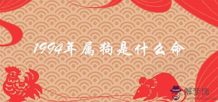 屬狗男一生的命運：年屬狗是什麼命