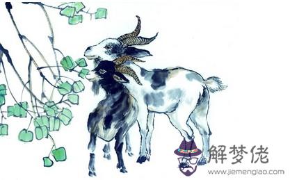 鼠和羊相配嗎：84年屬鼠和91年屬羊做夫妻怎樣