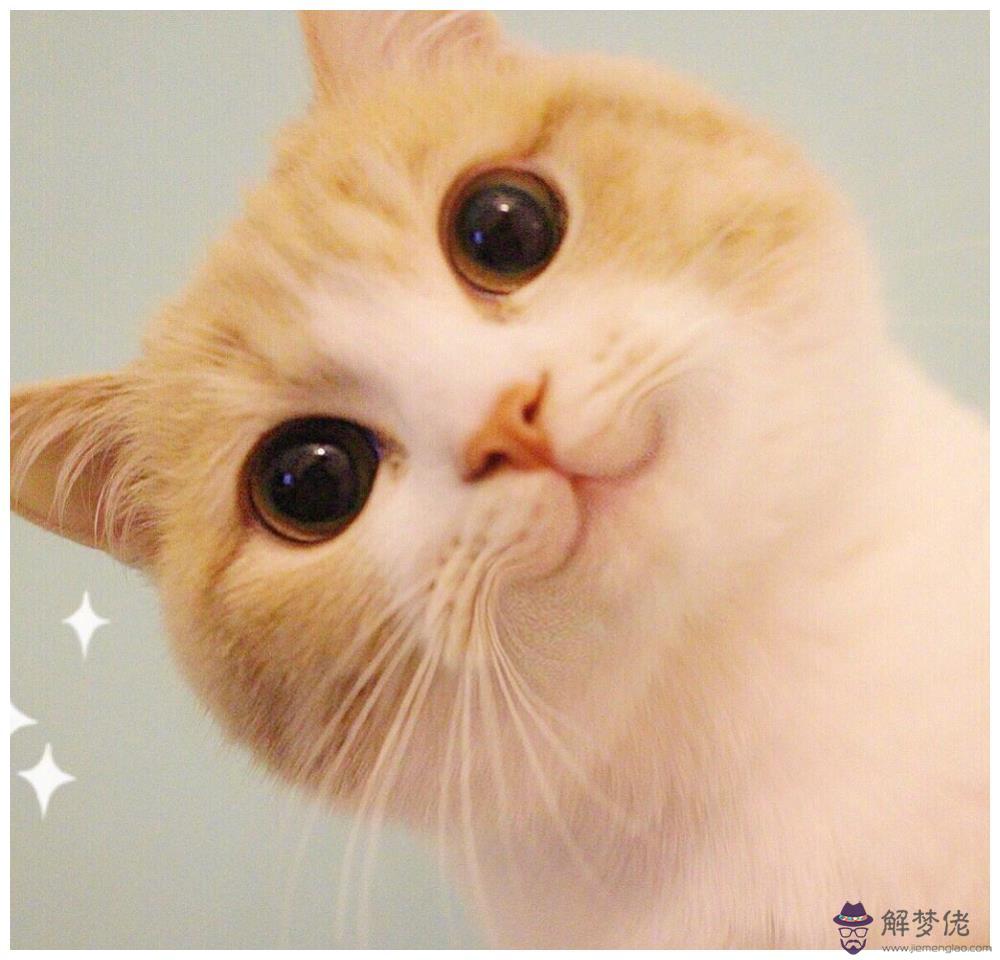測自己的另一半叫什麼名字：測測你的另一半姓什麼