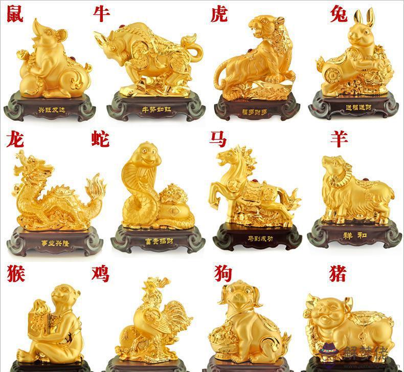 屬老鼠和屬狗的結合會怎麼樣：屬鼠和屬狗真的不能在一起嗎！真的會相沖嗎！