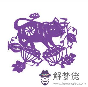 屬狗和屬鼠的屬相怎麼樣：屬狗的和屬鼠的人相配嗎