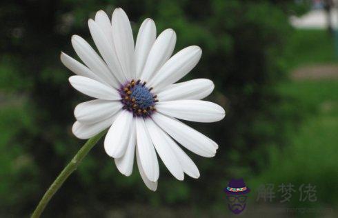 一歷幾次婚姻免費測試：算命一生有幾次婚姻