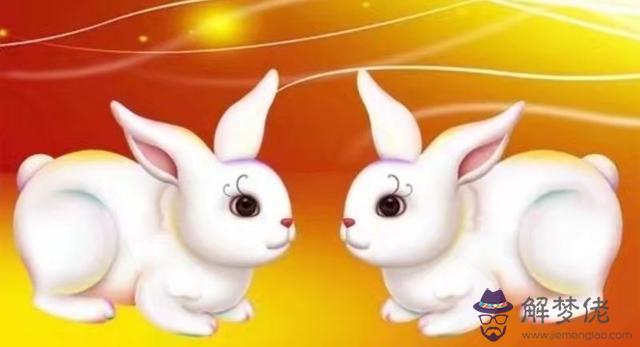 屬鼠和屬兔的婚姻如何化解：屬兔的和屬鼠能結為夫妻嗎