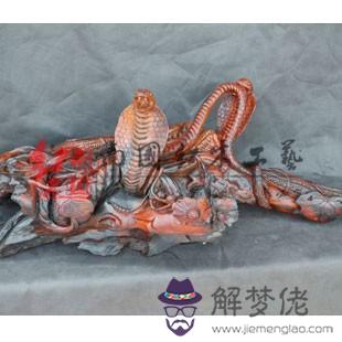 96鼠和01年蛇配嗎：鼠男跟蛇女配不配？