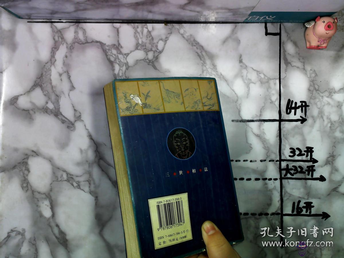書在線閱讀：求書——陰謀游戲txt