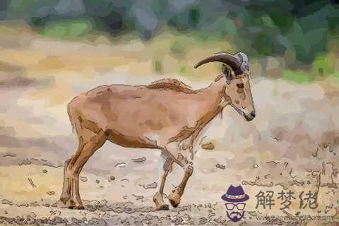 屬羊的和什麼屬相最配婚姻：屬羊的屬相婚配表，屬羊和什麼屬相最配
