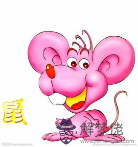 屬鼠和屬兔的婚姻如何：屬兔和屬鼠屬鼠的婚姻如何