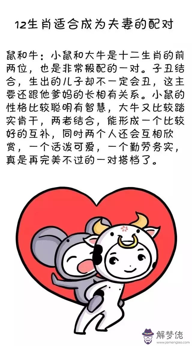 屬鼠和屬兔的婚姻如何：屬兔的與屬鼠的相配嗎？
