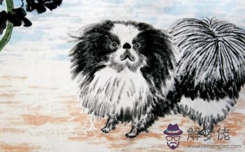 1994年屬狗和1995年屬豬女孩相配嗎？
