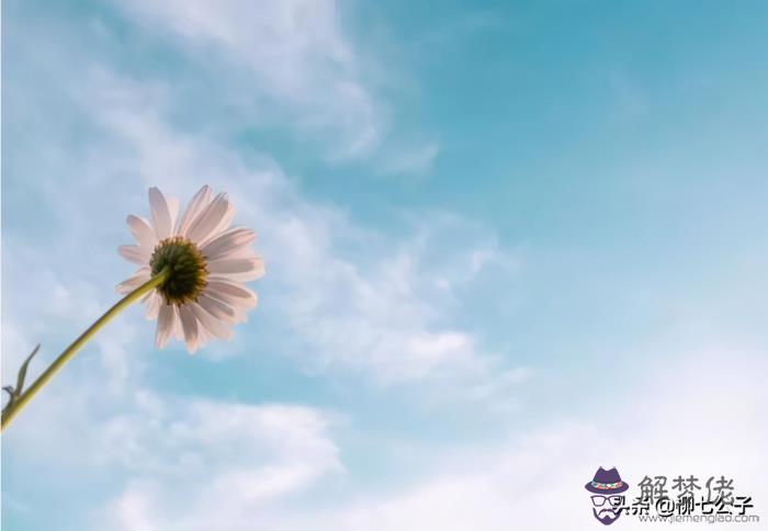 人的緣分是天注定的嗎：緣分真的是天注定的嗎?