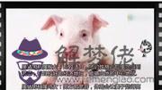 你好，我想知道一個屬狗和一個屬鼠的選樓層哪一層比較合適？？