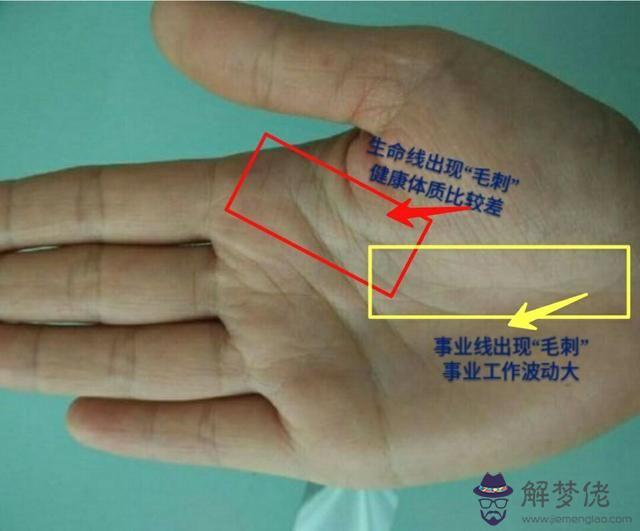 和八字哪個更準