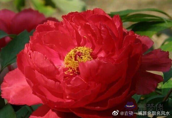 八字身強身弱計算：八字怎麼看身強身弱？