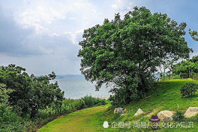 怎麼看一個人的八字：一個人屬于什麼命怎麼看？