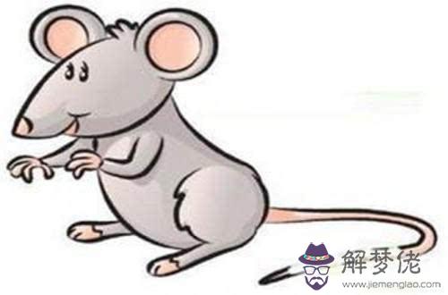 八字比劫極旺無食傷：人的生辰八字是如何計算得出的？