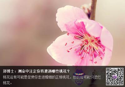八字如何看桃花運：八字有三個桃花，是不是桃花運旺盛？