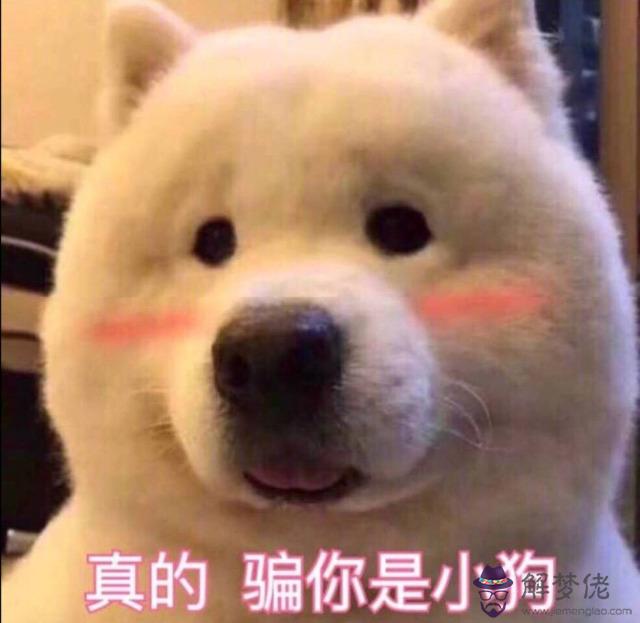 年柱：羊刃亡月柱：羊刃亡日柱：將星祿咸池時柱：華蓋空亡，乾造：庚申甲申辛酉己丑，幫看看他的婚...