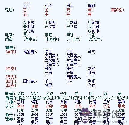 胎元在八字中的地位：胎元丙午胎息辛未八字命理詳解