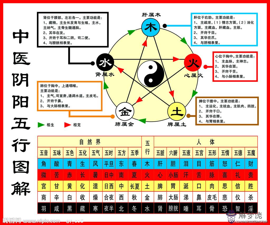 怎麼看八字屬性：生辰八字查詢