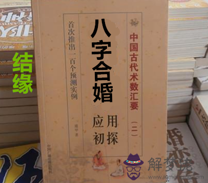 哪位幫我詳批一下八字己巳 甲戌 丙午 辛卯 看看命運如何？ 謝謝
