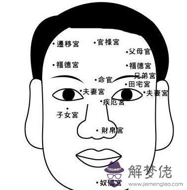 金木水火土五行：五行中的金木水火土各代表人身體的什麼部位