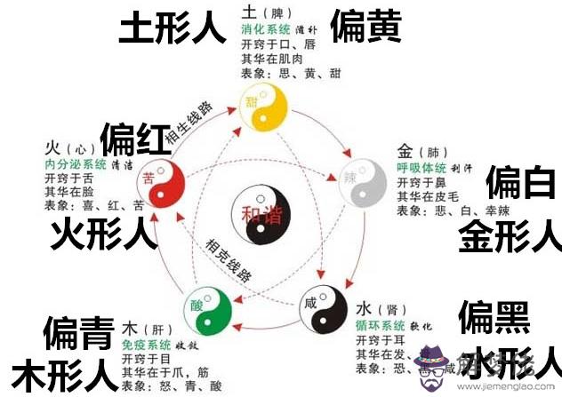 設計五行屬什麼