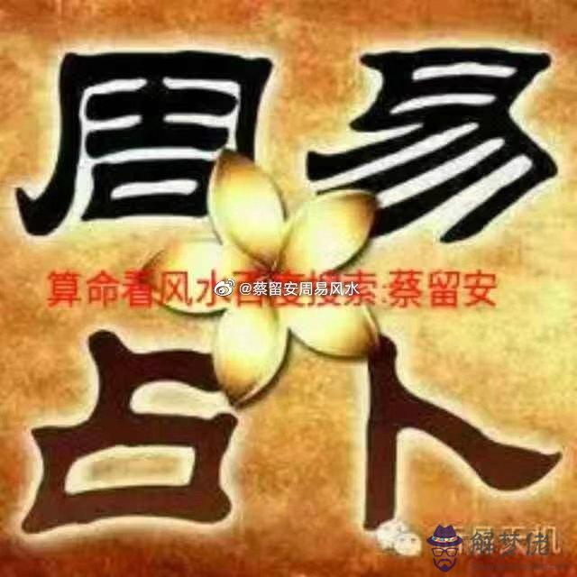蔡字的五行屬性