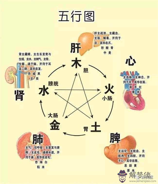 旭五行屬性是什麼