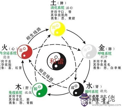 頭發在五行代表什麼：怎麼用啤酒洗頭發，有什麼好處？