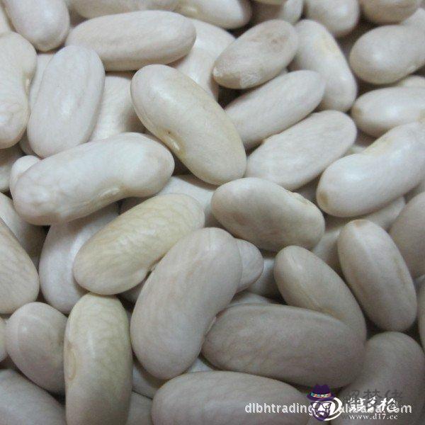 豆屬于五行屬什麼：康熙字典五行屬火的14畫字