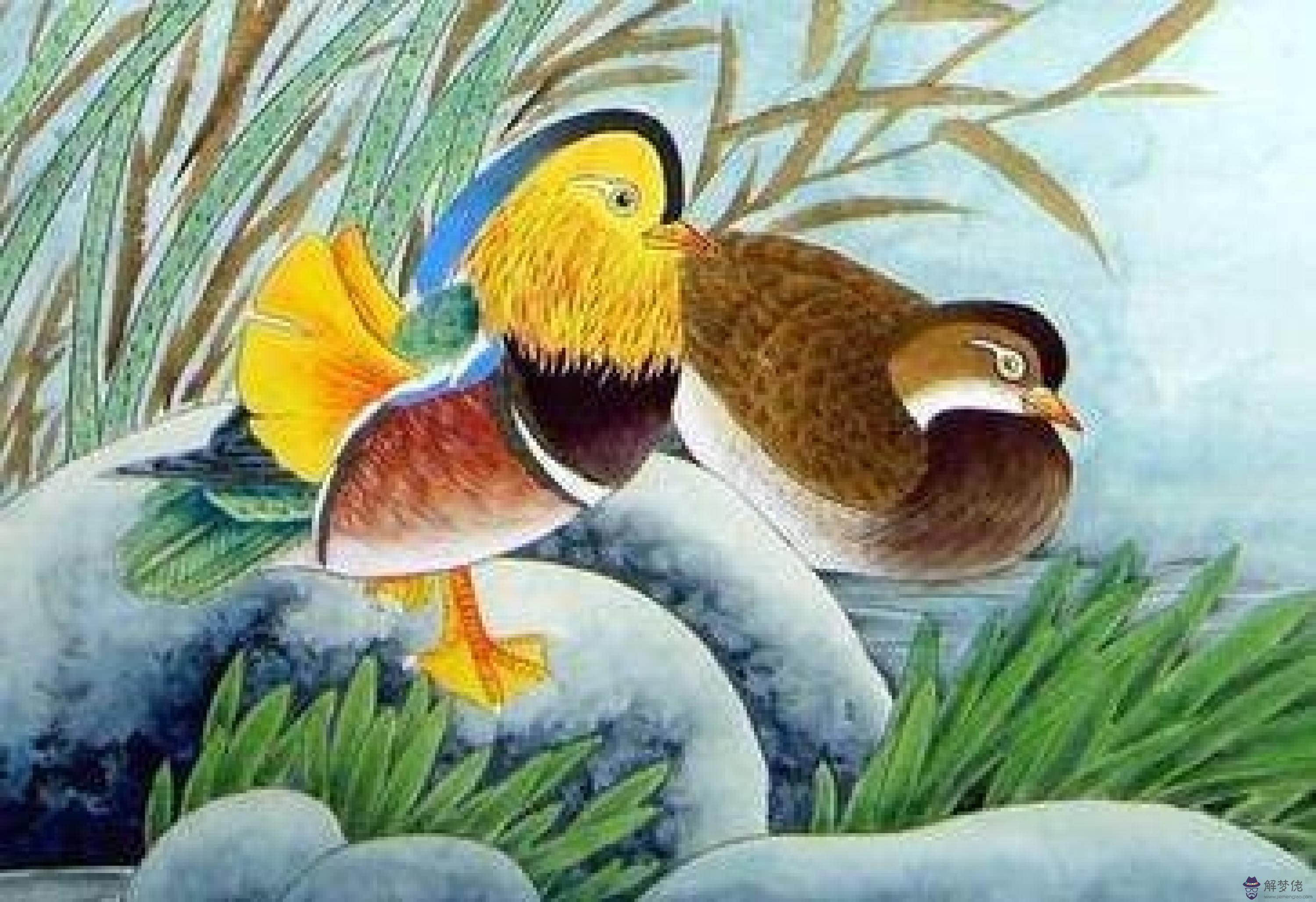 屬蛇五行屬什麼