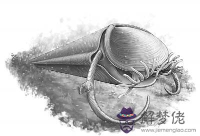 終定五行山怎麼打