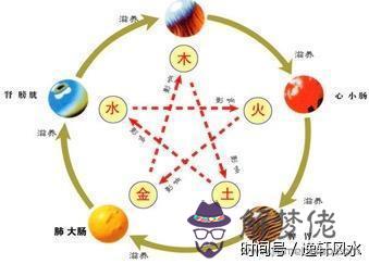 八字和五行的關系