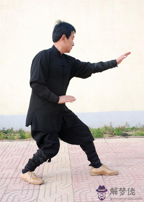 五行連環拳拳譜