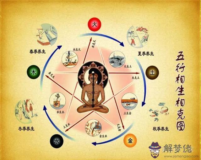 對應的五行：人體與五行的對應關系