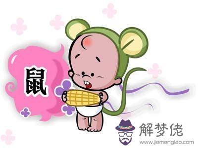 為什麼大家不愿意生鼠寶寶：屬馬的人不能生鼠和牛寶寶嗎？