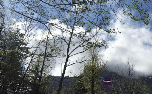 2019年屬馬的年齡對照表：屬馬的多少歲