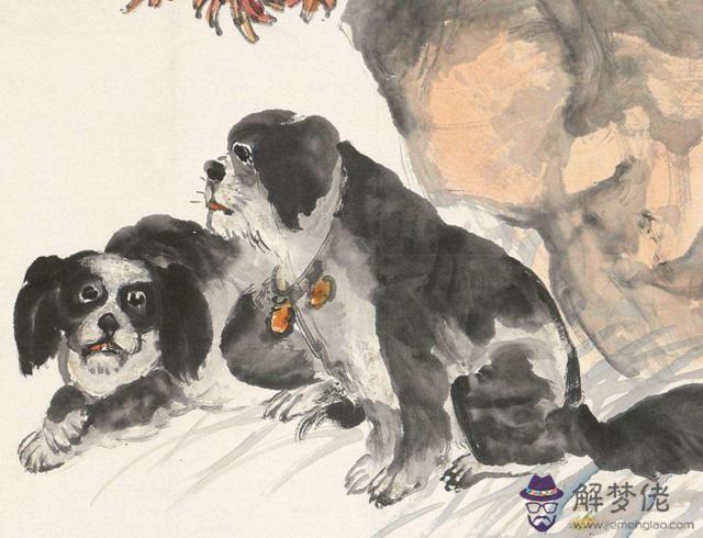1970年屬狗是什麼命