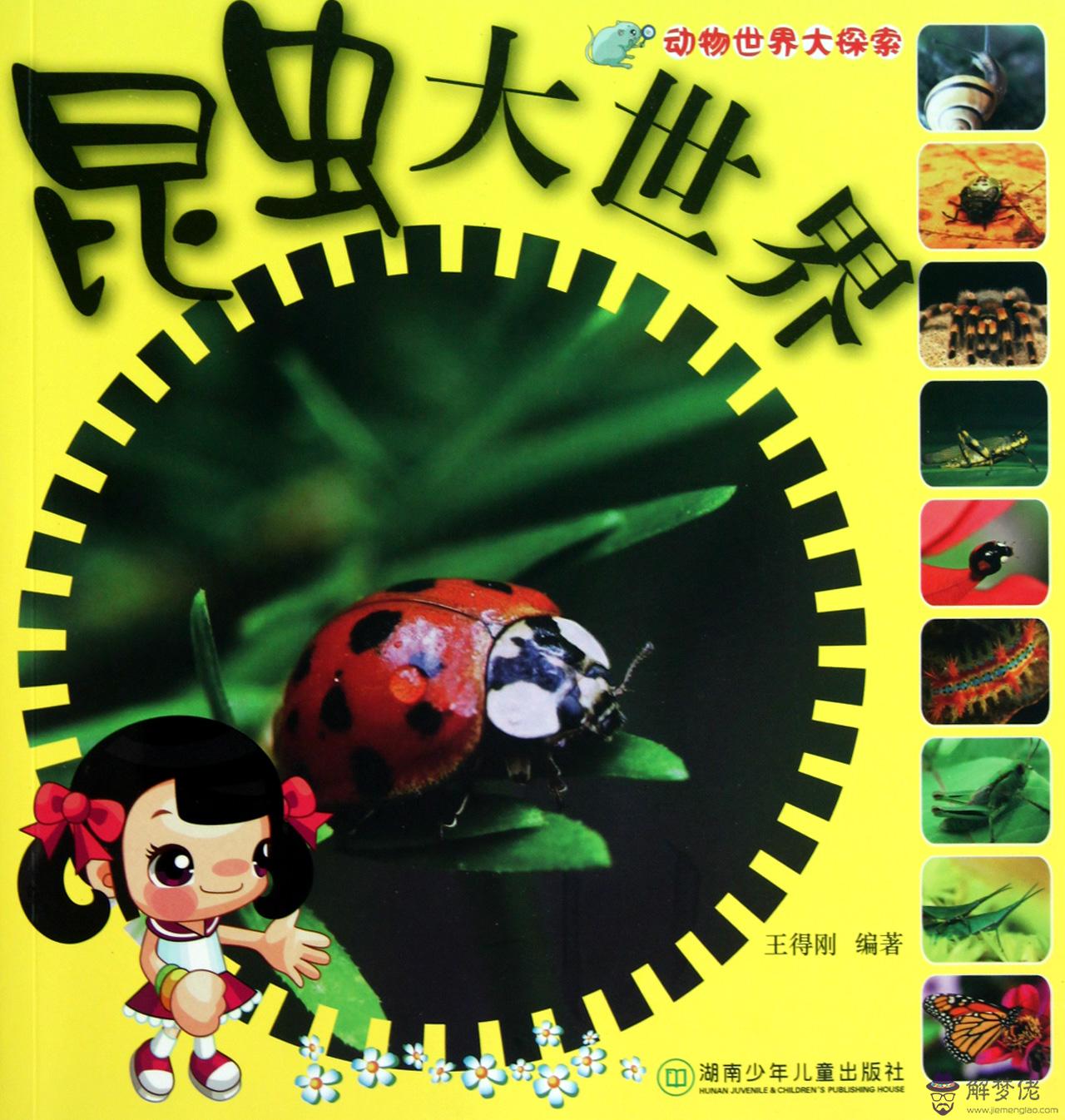 動物交情大世界